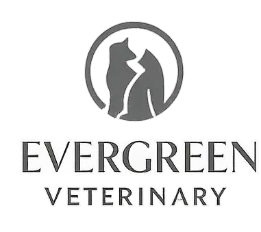 Evergreen Veterinary